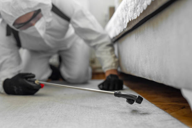 Professional Bed Bug Control technician working in Jacinto City, TX