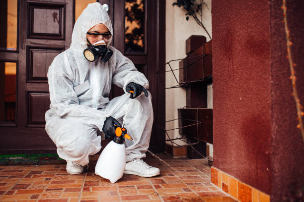 Reliable Bed Bug Control contractor in Jacinto City, TX by Nex Pest Control